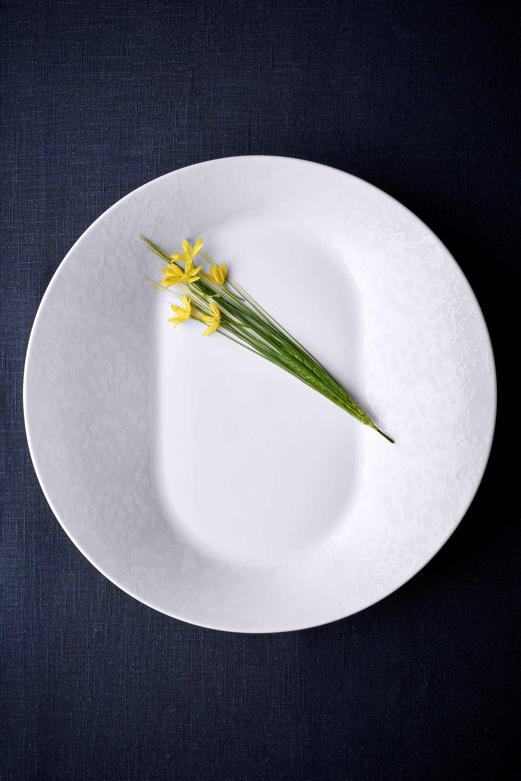 Assiette Lagune