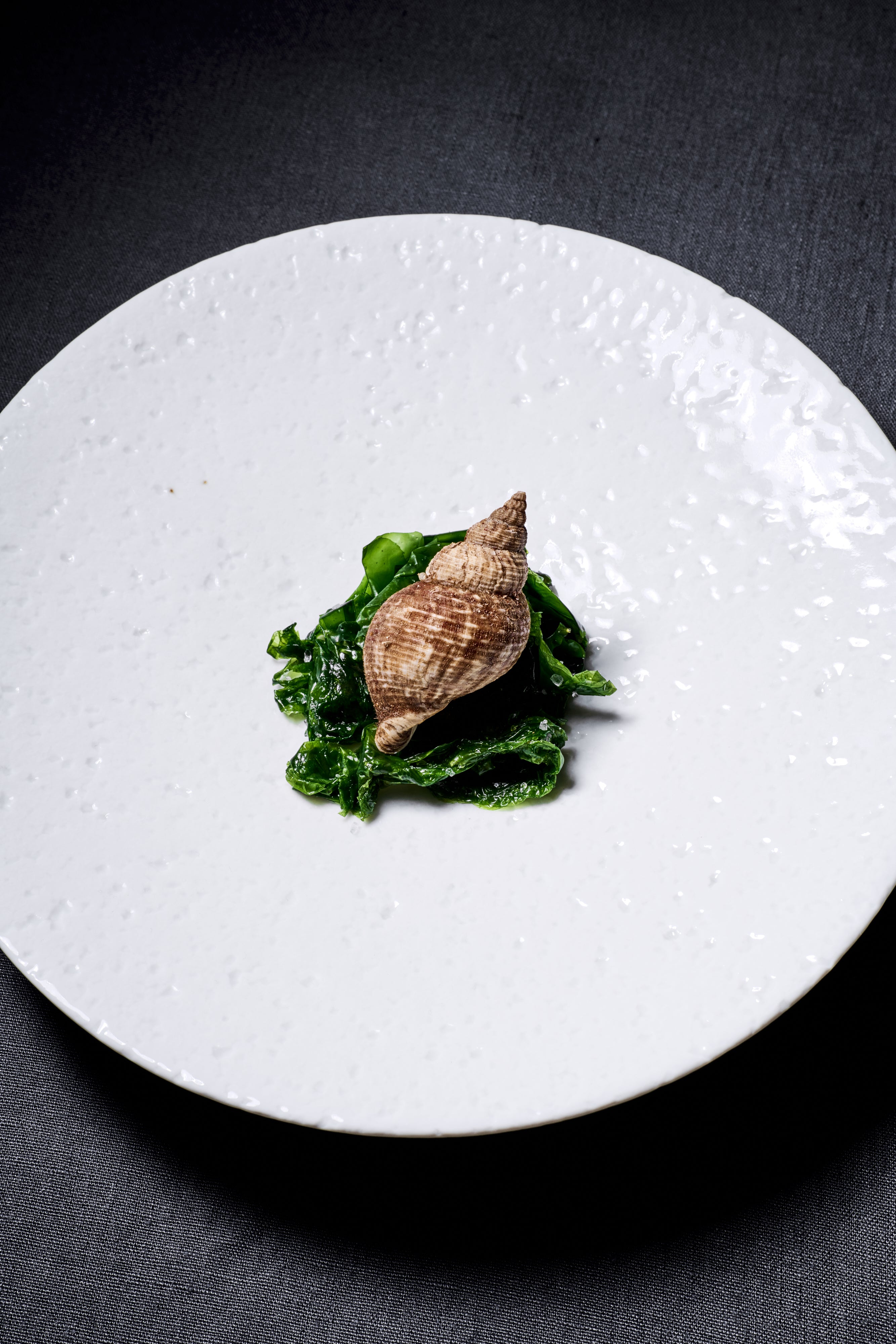 Rock plate (22cm)