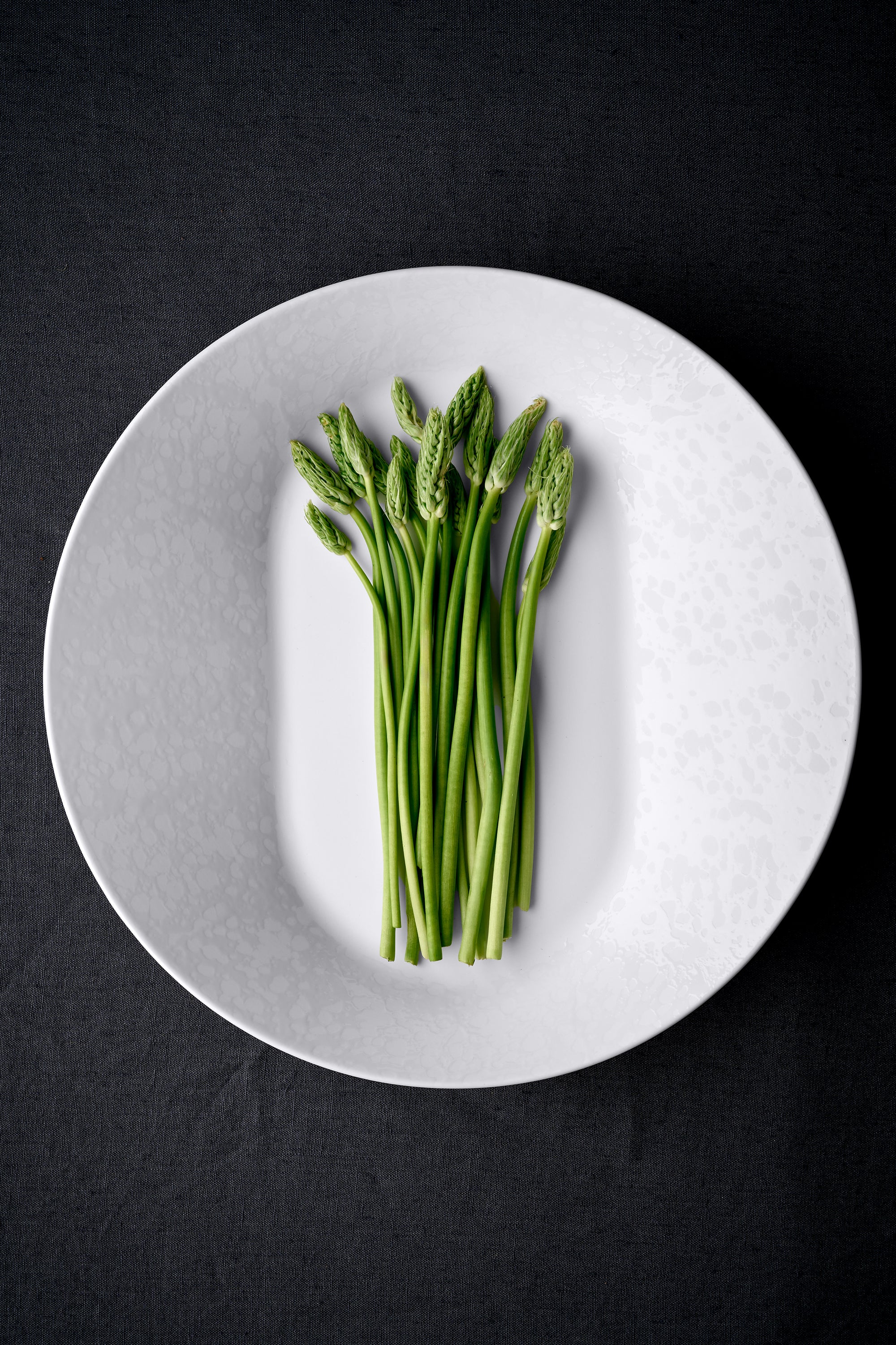 Assiette Lagune