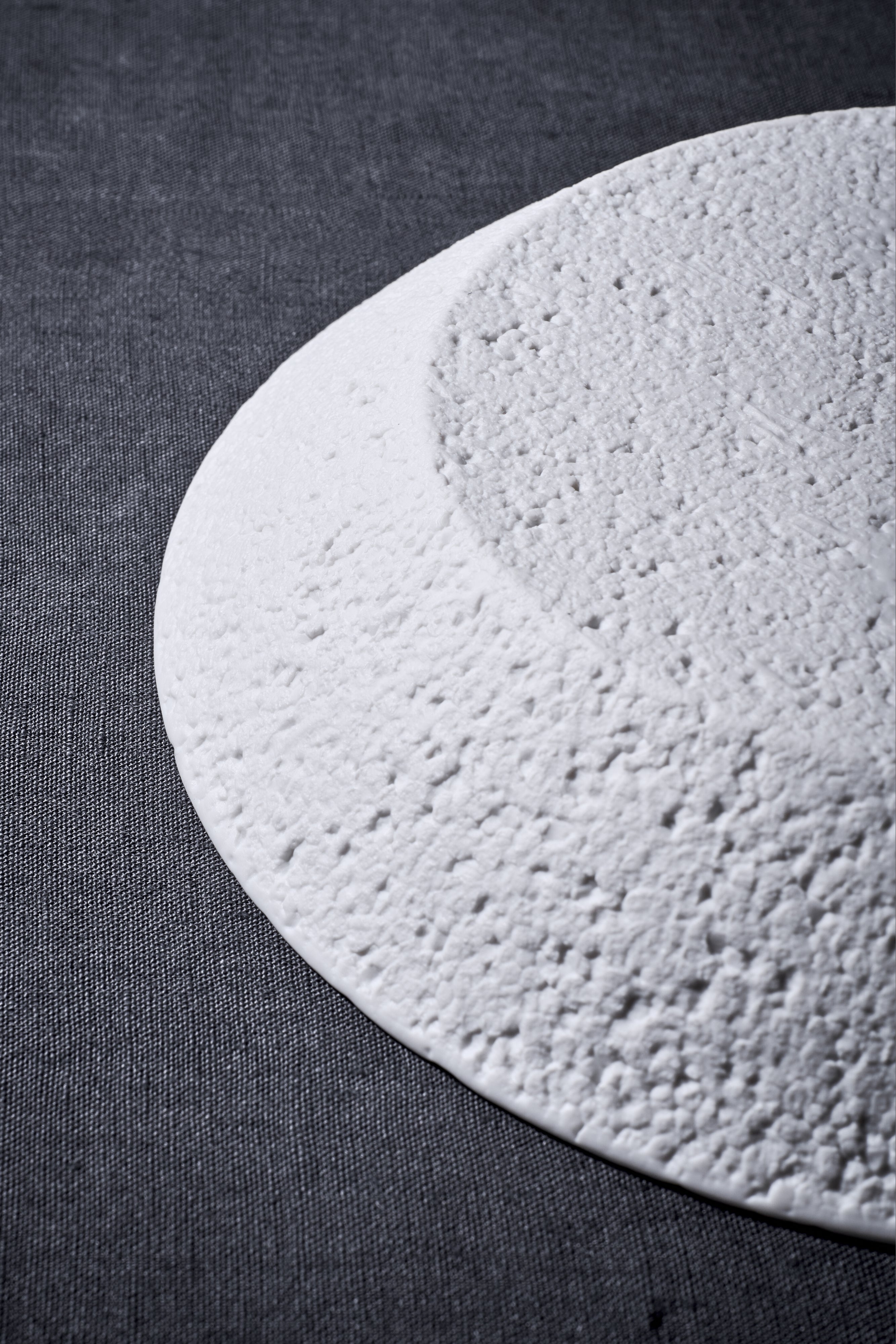 Rock plate (22cm)